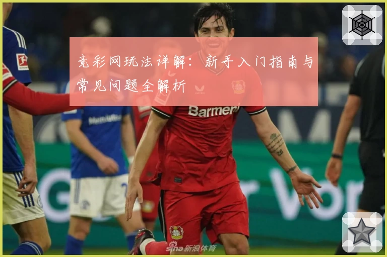 竞彩网玩法详解：新手入门指南与常见问题全解析