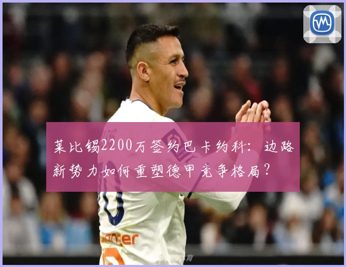 莱比锡2200万签约巴卡约科：边路新势力如何重塑德甲竞争格局？