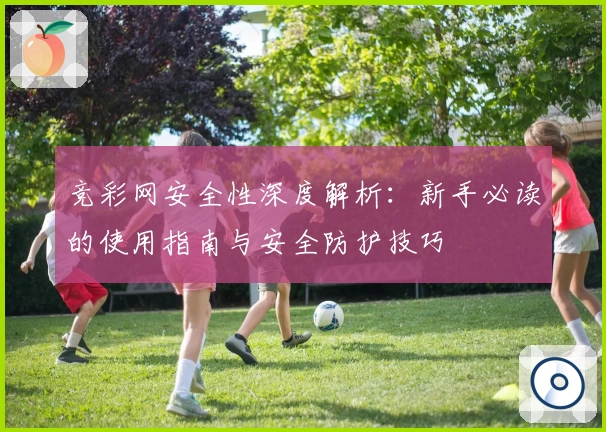 竞彩网安全性深度解析：新手必读的使用指南与安全防护技巧