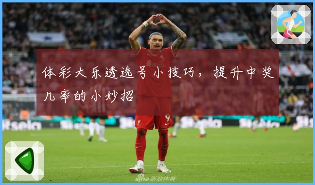 体彩大乐透选号小技巧,提升中奖几率的小妙招